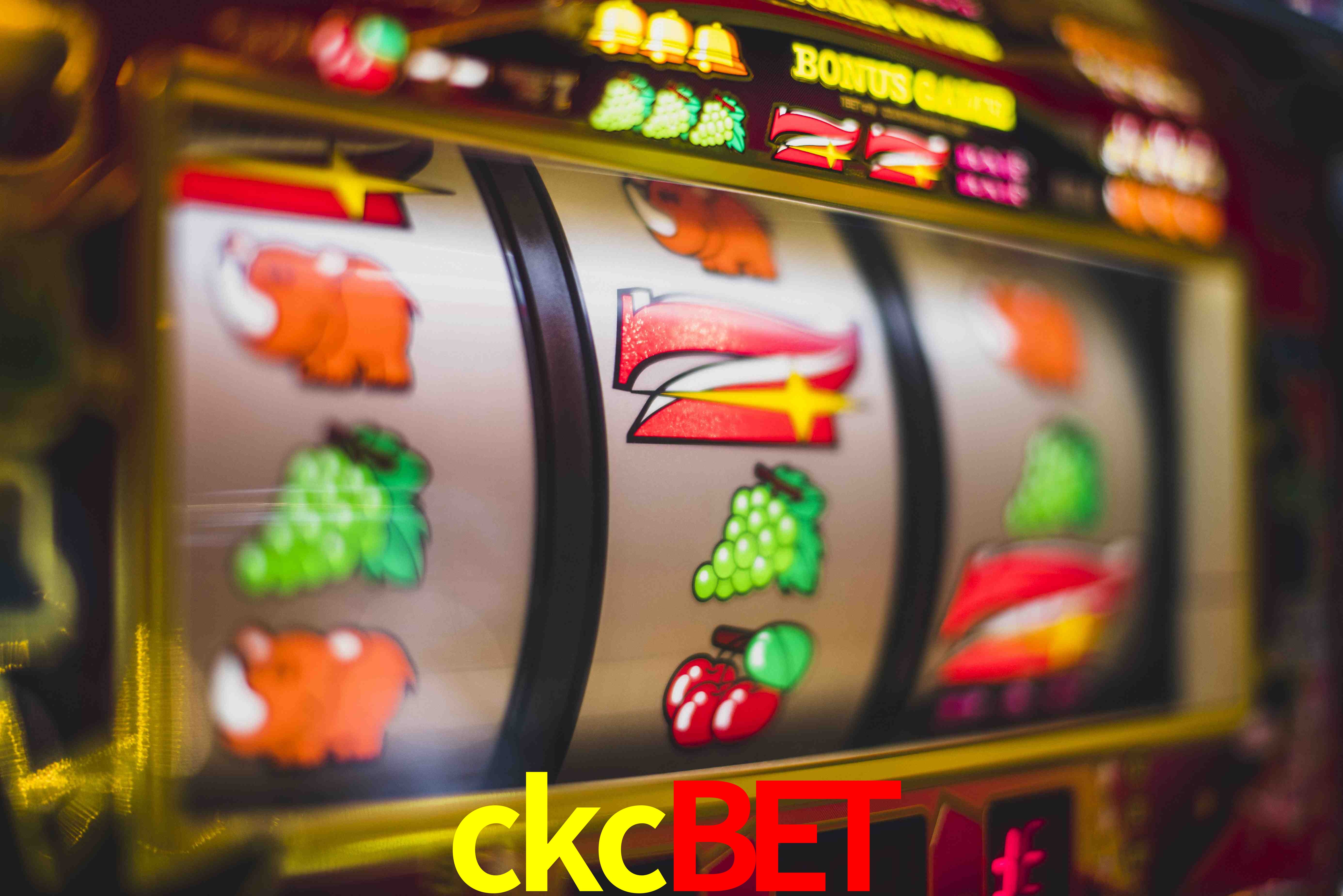 Sports Statistics ckcbet